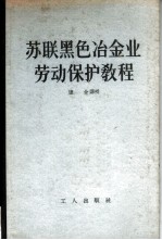 苏联黑色冶金业劳动保护教程