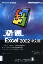 精通Microsoft Excel 2002中文版