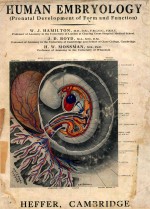 HUMAN EMBRYOLOGY PRENATAL DEVELOPMENT OF FORM AND FUNCTION