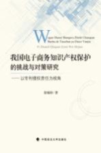 我国电子商务知识产权保护的挑战与对策研究 以专利侵权责任为视角