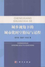 区域生态与环境过程系列丛书 城乡视角下的城市化时空格局与过程