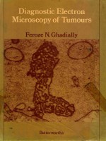 DIAGNOSTIC ELECTRON MICROSCOPY OF TUMORS