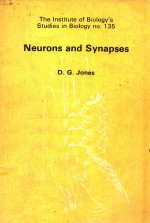 NEURONS AND SYNAPSES