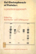 GEL ELECTROPHORESIS OF NUCLEIC ACIDS A PARACTICAL APPROACH