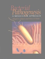 BACTERIAL PATHOGENESIS A MOLECULAR APPROACH