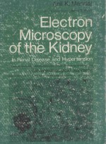 ELECTRON MICROSCOPY OF THE KIDNEY