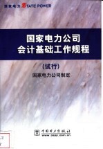 国家电力公司会计基础工作规程 （试行）