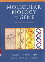 molecular biology of the gene seventh edition