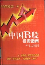 中国B股投资指南