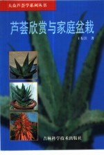 芦荟欣赏与家庭盆栽