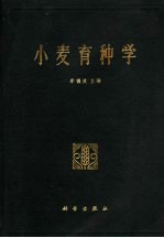 小麦育种学