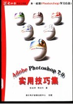 Adobe PHOTOSHOP 7.0实用技巧集