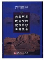 西藏阿里地区文物抢救保护工程报告