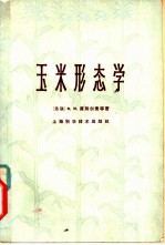 玉米形态学 形态学、解剖学和胚胎学