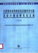 大型复杂结构体系的关键科学问题及设计理论研究论文集 2000