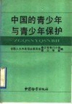 中国的青少年与青少年保护  1991年