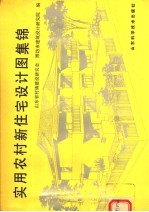 实用农村新住宅设计图集锦