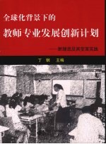 全球化背景下的教师专业发展创新计划