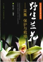 野生兰花 采集、保护与栽培