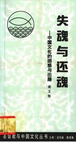 失魂与还魂 中国文化的困惑与出路