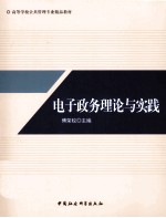 电子政务理论与实践