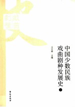 中国少数民族戏曲剧种发展史 下