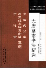 大唐墓志书法精选 金仙长公主 成王妃慕容真如海 于遂古墓志