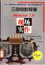 三向电影导演 Director 7.0现场实作