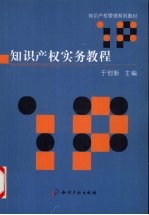 知识产权实务教程