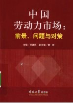 中国劳动力市场 前景、问题与对策