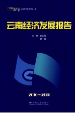 云南经济发展报告 2010-2011