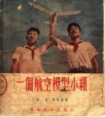 一个航空模型小组