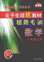 尖子生培优教材错题专训 数学 八年级 上