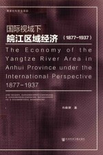 国际视域下皖江区域经济 1877-1937版