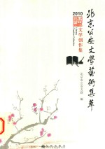 北京公安文学艺术集萃  2010  文学作品卷