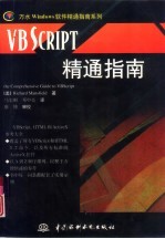 VB Script精通指南