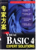 Visual Basic 4专家方案