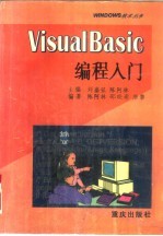 Visual Basic编程入门