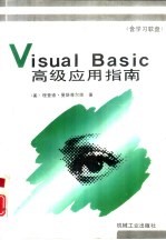 Visual Basic高级应用指南