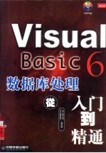 Visual Basic 6数据库处理 从入门到精通