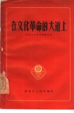 在文化革命的大道上 农村业余教育经验介绍