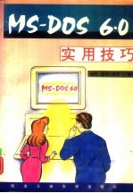 MS-DOS 6.0实用技巧