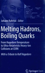 MELTING HADRONS