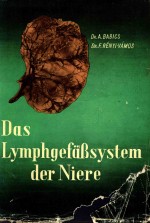 DAS LYMPHGEFASSYSTEM DER NIERE UND SEINE BEDEUTUNG IN DER NIERENPATHOLOGIE UND CHIRURGIE