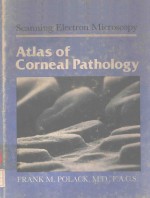 SCANNING ELECTRON MICROSCOPY ATLAS OF CORNEAL PATHOLOGY