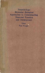 NEUROBIOLOGY MOLECULAR BIOLOGICAL APPROACHES TO UNDERSTANDING NEURONAL FUNCTION AND DEVELOPMENT