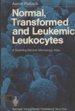 NORMAL TRANSFORMED AND LEUKEMIC LEUKOCYTES A SCANNING ELECTRON MICROSCOPY ATLAS