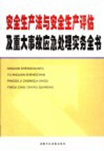 安全生产法与安全生产评估及重大事故应急处理实务全书 第1卷