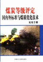 煤炭等级评定国内外标准与煤质优化技术实用手册 第4卷