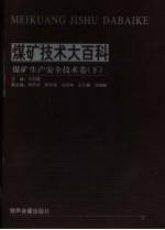 煤矿技术大百科 安全生产技术卷 下